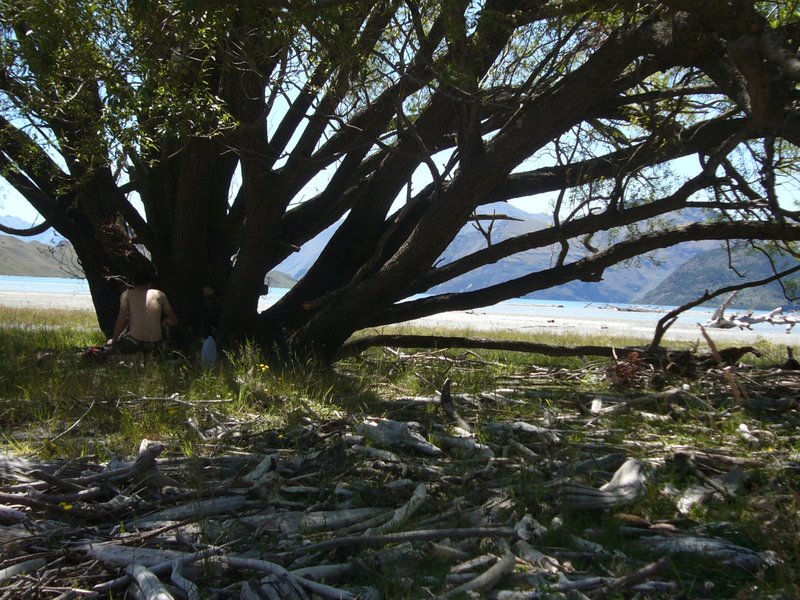 Travel - New Zealand - Glendhu Bay